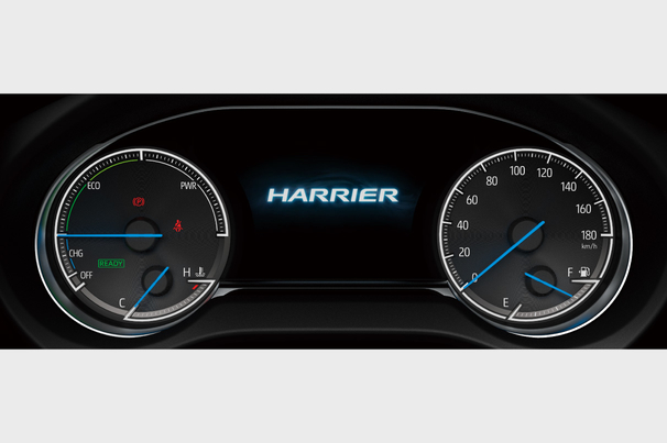 harrier_grade_img10