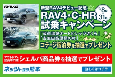 slide_rav4_campaign_sp